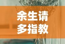 余生请多指教在线观看免费完整版