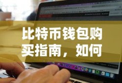 如何选择合适的比特币钱包，比特币钱包购买指南
