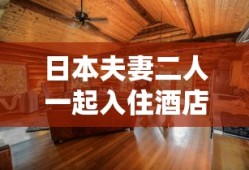 日本夫妻二人一起入住酒店电影名字