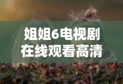 姐姐6电视剧在线观看高清免费全集播放