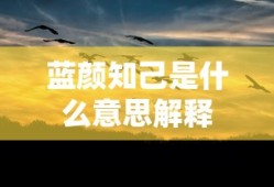 蓝颜知己是什么意思解释