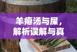 狼人卡牌熊的规则