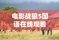 蘑菇袋鼠配招