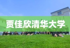 贾佳欣清华大学