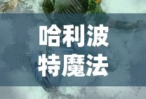 哈利波特魔法觉醒，无名之书的神秘启示，哈利波特魔法觉醒，无名之书中的奥秘启示