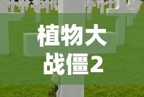 植物大战僵2破解版下载最新下