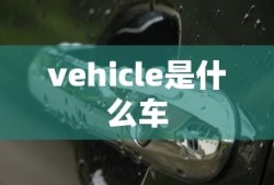 vehicle是什么车