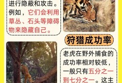 中国惊奇先生在线观看免费全集