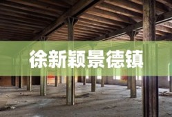 徐新颖景德镇