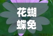 花蝴蝶免费版大全专辑花蝴蝶电视剧高清