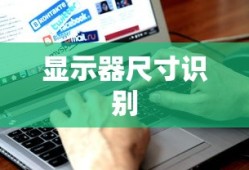 手游问道，力金角色解析