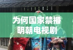 为何国家禁播明朝电视剧