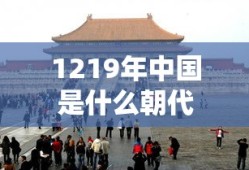 1219年中国是什么朝代