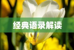 4399卡布西游官网