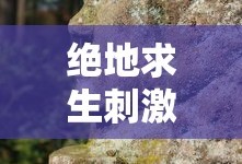 绝地求生刺激战场攻略技巧视频