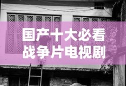 国产十大必看战争片电视剧