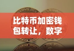 比特币加密钱包转让，开启数字货币新篇章