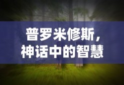雷克萨斯ct200h评价