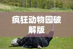 疯狂动物园破解版