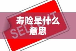 寿险是什么意思