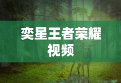 奕星王者荣耀视频