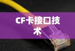 整体音节的概念与特点