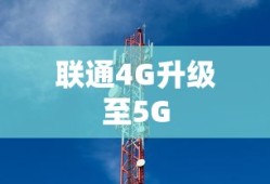 二战游戏单机破解游戏大全