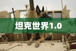 坦克世界1.0