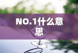 NO.1什么意思