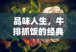 品味人生，牛排抓饭的经典语录集锦