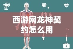 西游网龙神契约怎么用