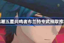鸣潮五星共鸣者布兰特专武抽取推荐 鸣潮五星共鸣者布兰特专武是否值得入手