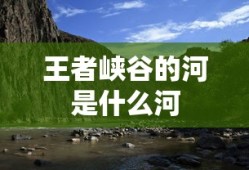 王者峡谷的河是什么河