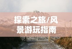 LOL手游中的无畏之狼，狼人角色的独特魅力与挑战