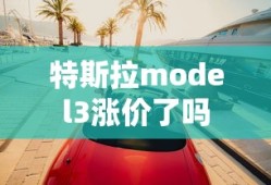 特斯拉model3涨价了吗