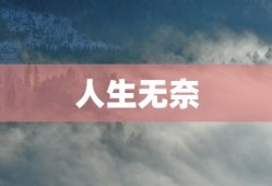 张泽新浪微博