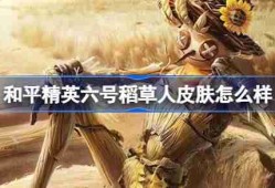 和平精英六号稻草人怎么样-和平精英六号稻草人皮肤价格