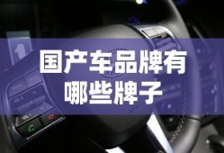 国产车品牌有哪些牌子