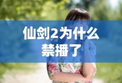 仙剑2为什么禁播了