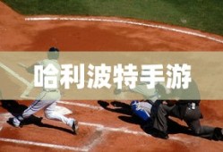 普瑞维亚报价及图片