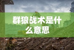 群狼战术是什么意思