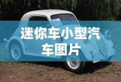 迷你车小型汽车图片