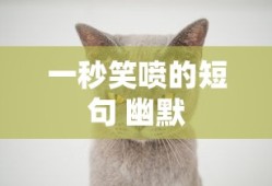 一秒笑喷的短句 幽默