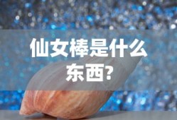 我的小后妈韩剧完整版中文版免费观看