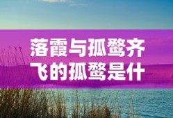 落霞与孤鹜齐飞的孤鹜是什么鸟