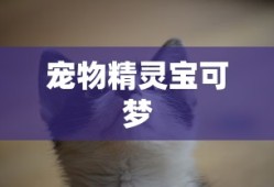 宠物精灵宝可梦