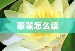 橐蜚怎么读