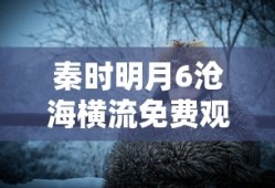 秦时明月6沧海横流免费观看完整版