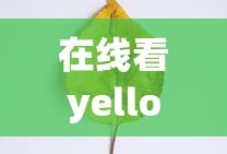 在线看yellow18黄