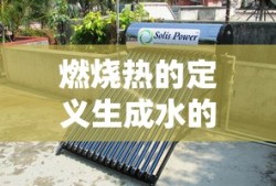 吉田步美的身世